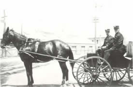 1892 Chief's Buggy w/ Chief Sullivan